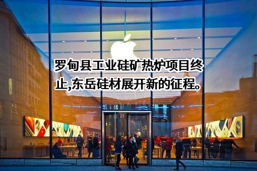 山东东岳有机硅材料股份有限公司