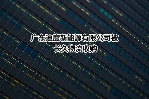 广东迪度新能源有限公司