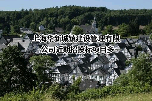 上海华新城镇建设管理有限公司