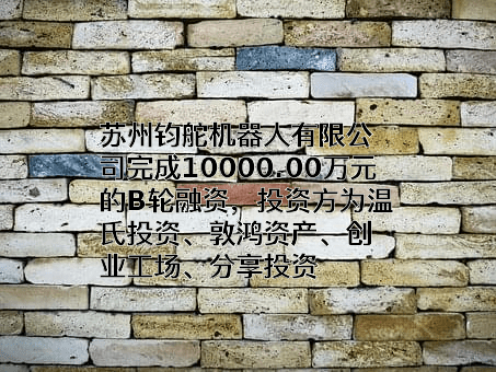苏州钧舵机器人有限公司