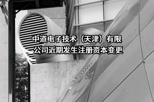 中道电子技术（天津）有限公司