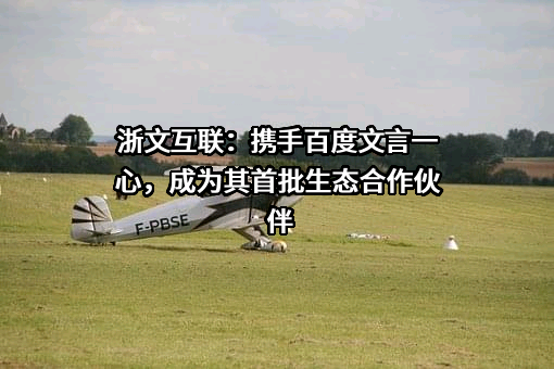 浙文互联集团股份有限公司