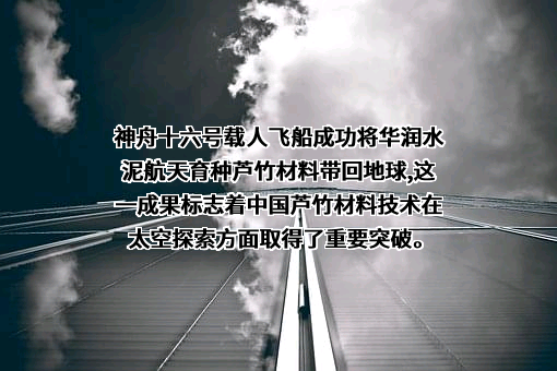 华润水泥控股有限公司