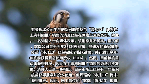 辉瑞公司