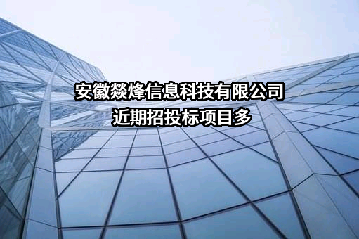 安徽燚烽信息科技有限公司近期招投标项目多