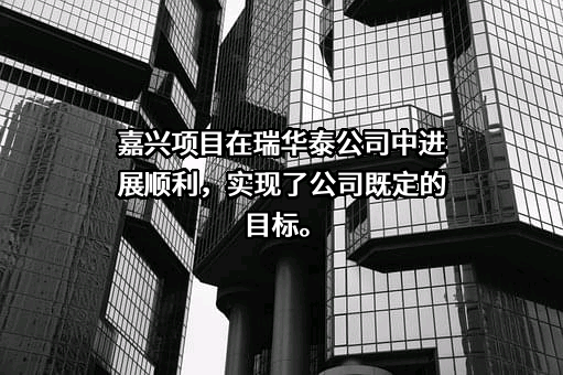 深圳瑞华泰薄膜科技股份有限公司