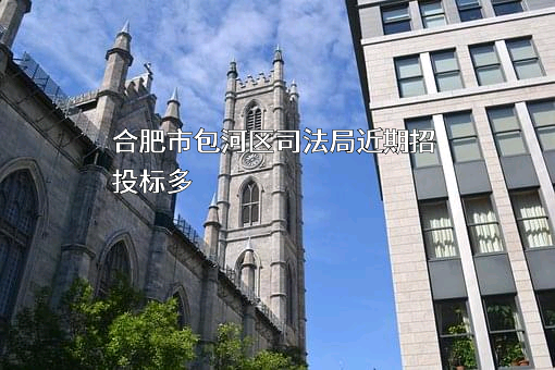 合肥市包河区司法局近期招投标项目多