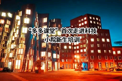 上海寻梦信息技术有限公司