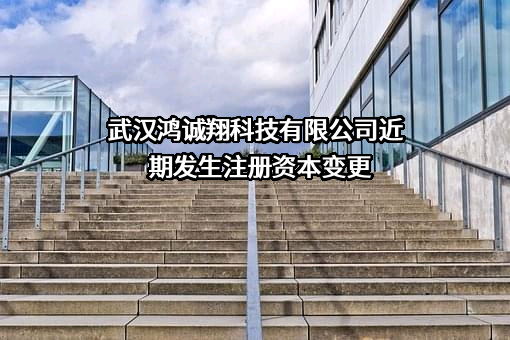 武汉鸿诚翔科技有限公司