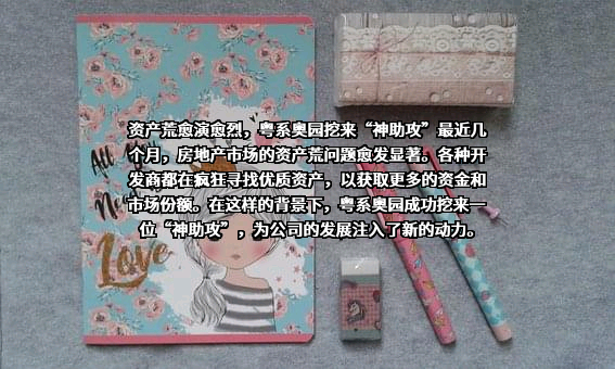 中国奥园集团股份有限公司