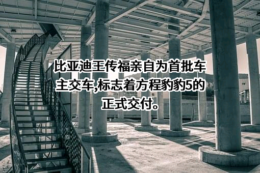 比亚迪股份有限公司