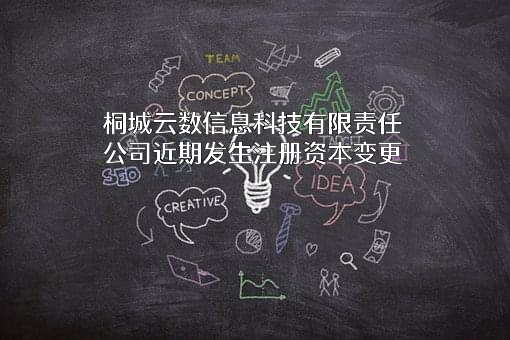 桐城云数信息科技有限责任公司