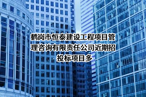 鹤岗市恒泰建设工程项目管理咨询有限责任公司