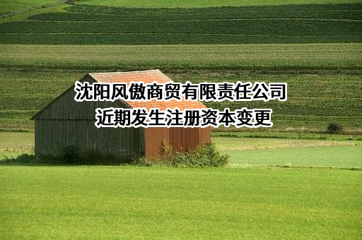 沈阳风傲商贸有限责任公司