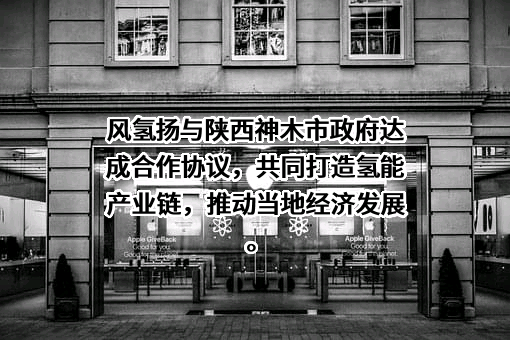 风氢扬氢能科技（上海）有限公司