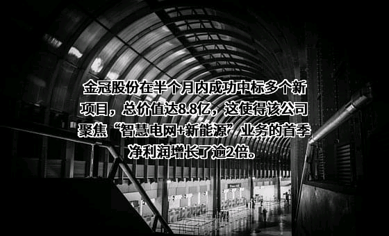 吉林省金冠电气股份有限公司