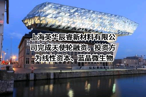 上海英华辰睿新材料有限公司