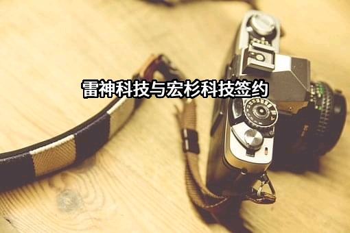 青岛雷神科技股份有限公司