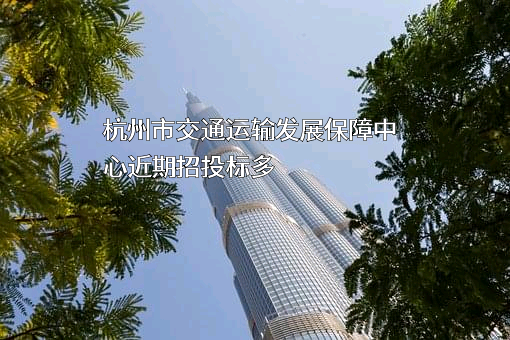 杭州市交通运输发展保障中心