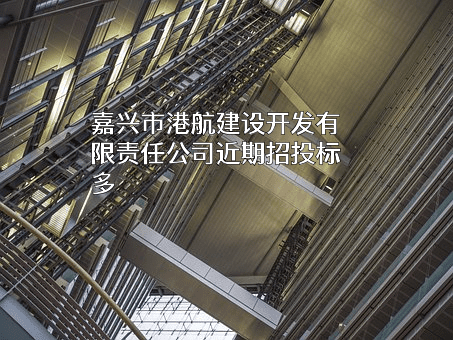嘉兴市港航建设开发有限责任公司