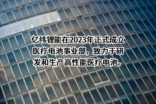 惠州亿纬锂能股份有限公司