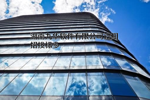 湖南九华软件有限公司