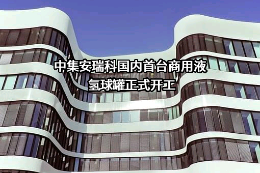 中集安瑞科控股有限公司