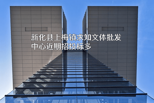 新化县上梅镇求知文体批发中心