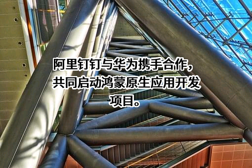 钉钉科技有限公司