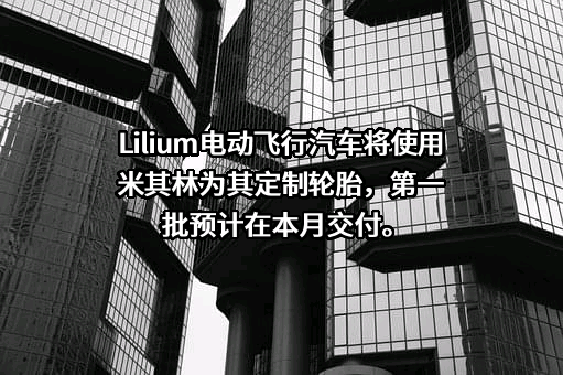 米其林（中国）投资有限公司