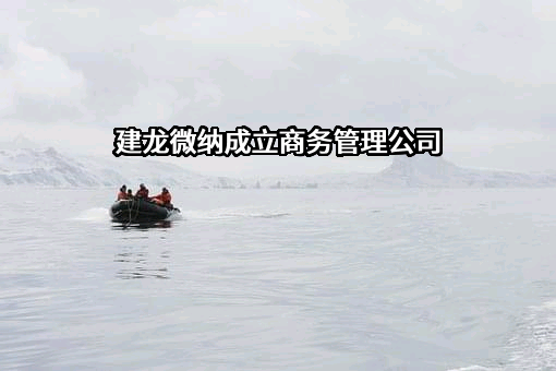 洛阳建龙微纳新材料股份有限公司