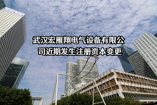 武汉宏雁翔电气设备有限公司