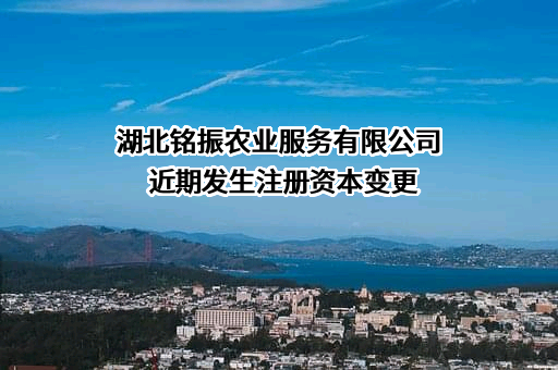 湖北铭振农业服务有限公司