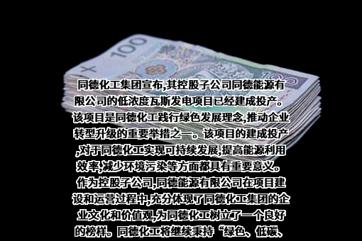 阳城县国泰中科清洁能源技术有限公司
