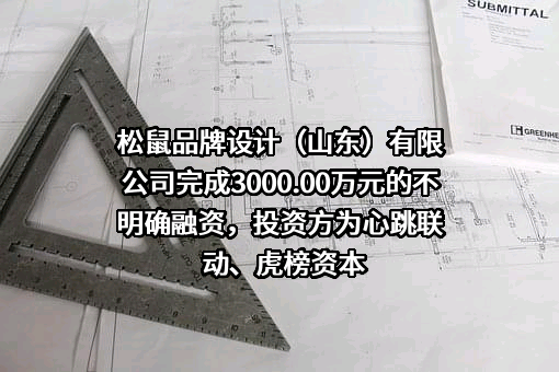 松鼠品牌设计（山东）有限公司