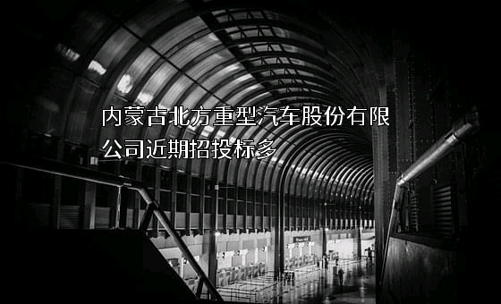 内蒙古北方重型汽车股份有限公司