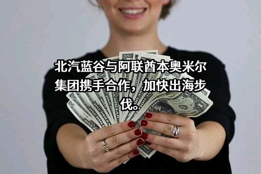北京新能源汽车股份有限公司