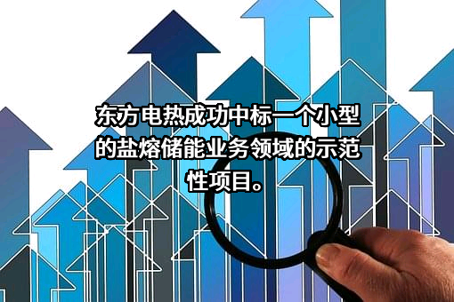 镇江东方电热科技股份有限公司