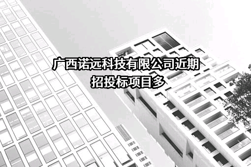 广西诺远科技有限公司近期招投标项目多