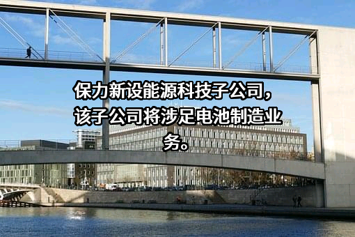 保力新能源科技股份有限公司