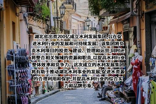 湖北水利发展集团有限公司