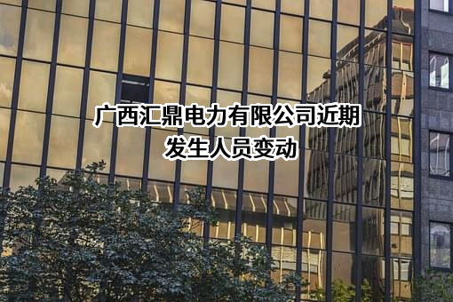 广西汇鼎电力有限公司