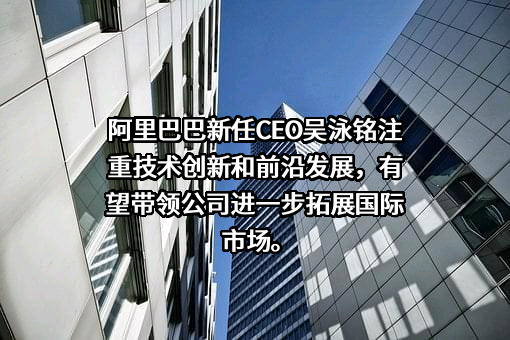 阿里巴巴（中国）网络技术有限公司