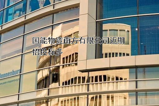 国能物资南方有限公司