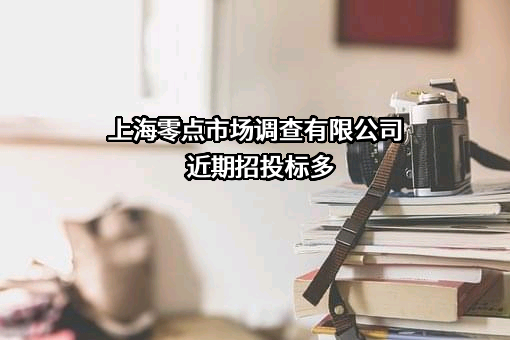 上海零点市场调查有限公司