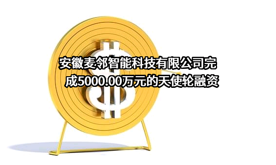 安徽麦邻智能科技有限公司