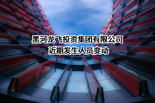 黑河龙飞投资集团有限公司