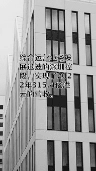 深圳市投资控股有限公司