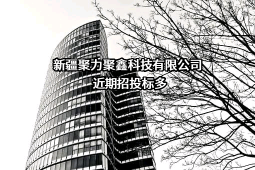 新疆聚力聚鑫科技有限公司