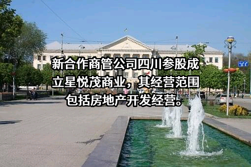 北京新合作商业发展有限公司